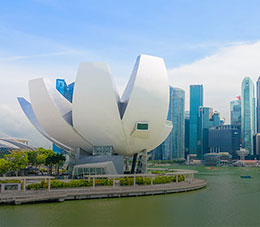Singapore Business Visa