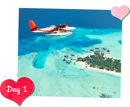 Maldives Honeymoon Package | Sri Lanka Honeymoon Package