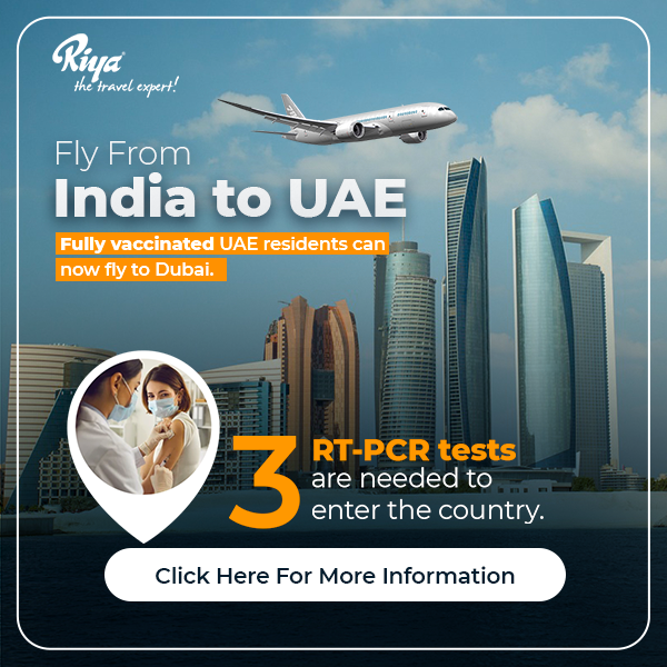 Flight from India to UAE Resume